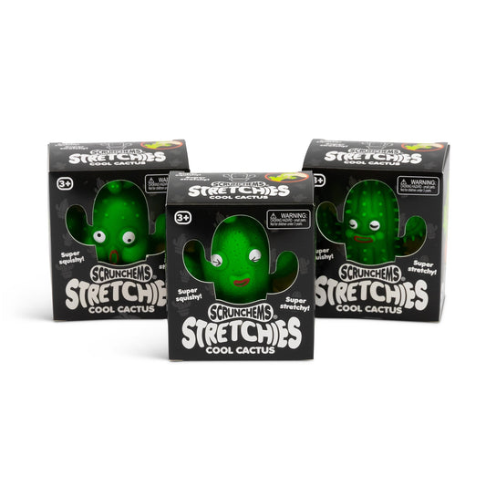 Scrunchems Stretchies Cool Cactus Groovy Squishy Fidget Toy