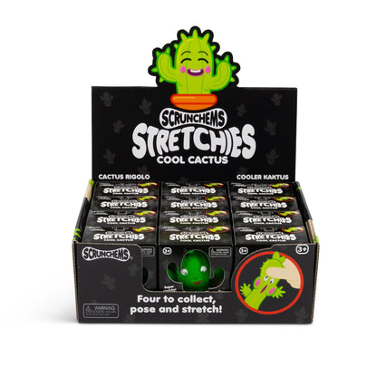 Scrunchems Stretchies Cool Cactus Groovy Squishy Fidget Toy