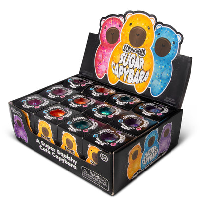 Scrunchems Sugar Capybara Groovy Squishy Fidget Toy