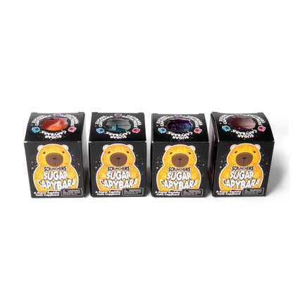 Scrunchems Sugar Capybara Groovy Squishy Fidget Toy