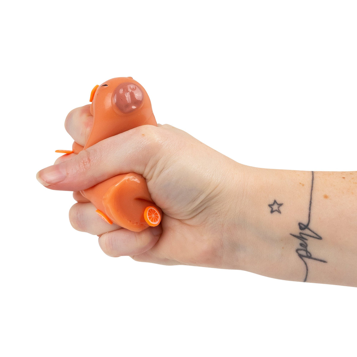 Scrunchems Sticky Squishy Capybara Fidget Toy