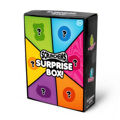 Scrunchems Surprise Box Groovy Squishy Fidget Toy 6 Pack