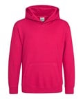 AWDis Just Hoods JH01J Kids Hoodie
