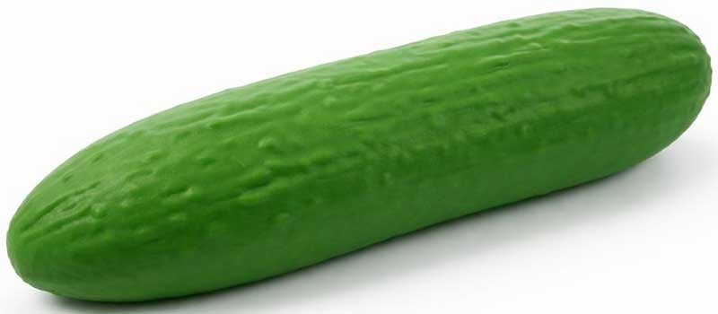 The Big Squij Cucumber Novelty Squishy Toy