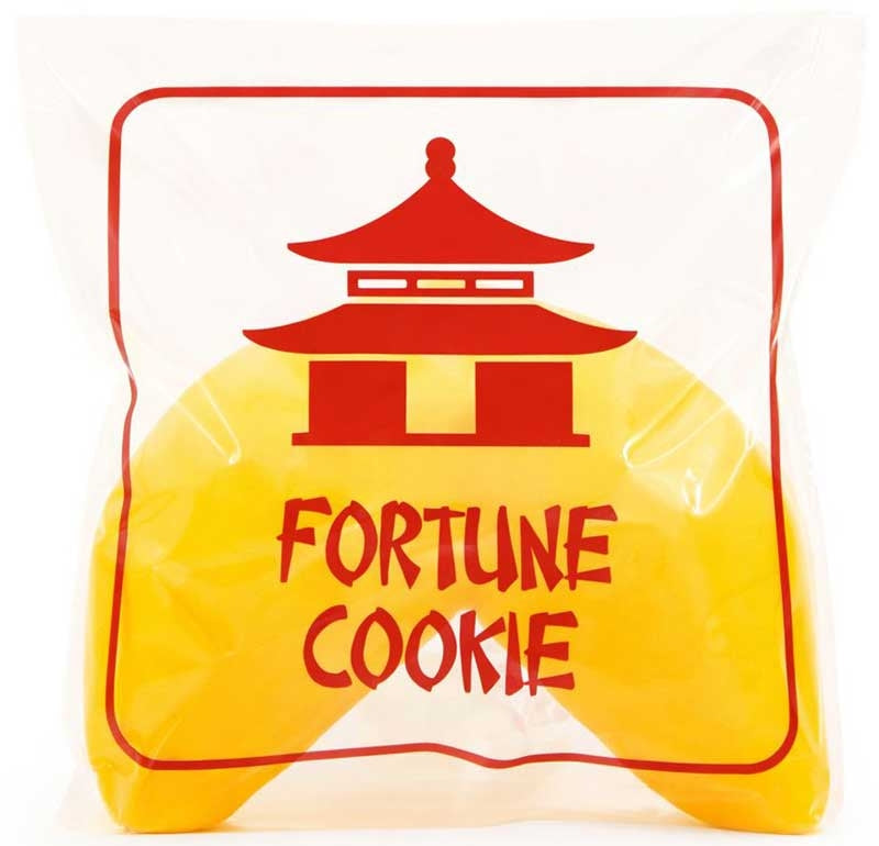 The Big Squij Fortune Cookie Novelty Squishy Toy