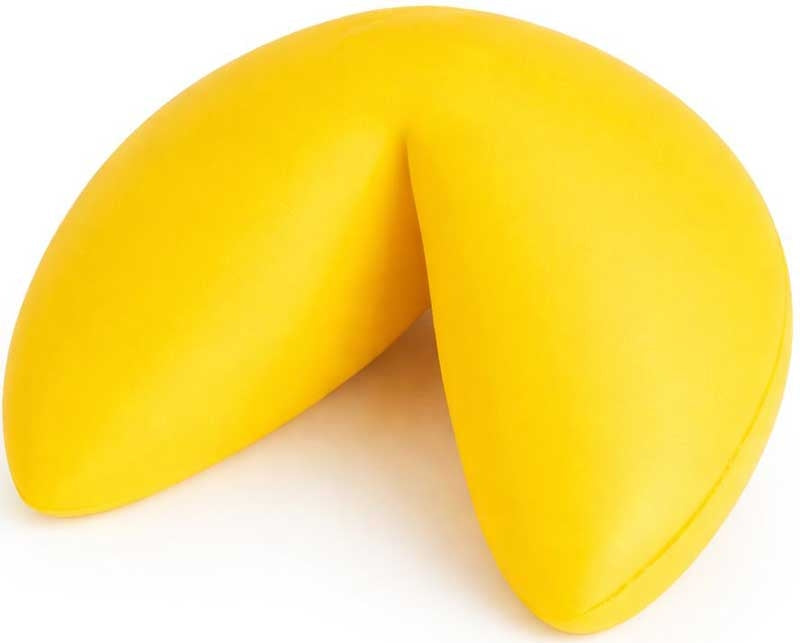 The Big Squij Fortune Cookie Novelty Squishy Toy